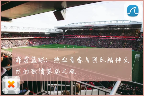 霹雳篮球：热血青春与团队精神交织的激情赛场之旅