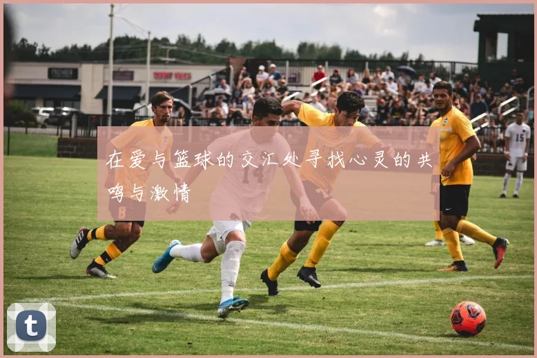 在爱与篮球的交汇处寻找心灵的共鸣与激情