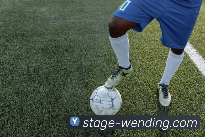 问鼎娱乐平台生态图